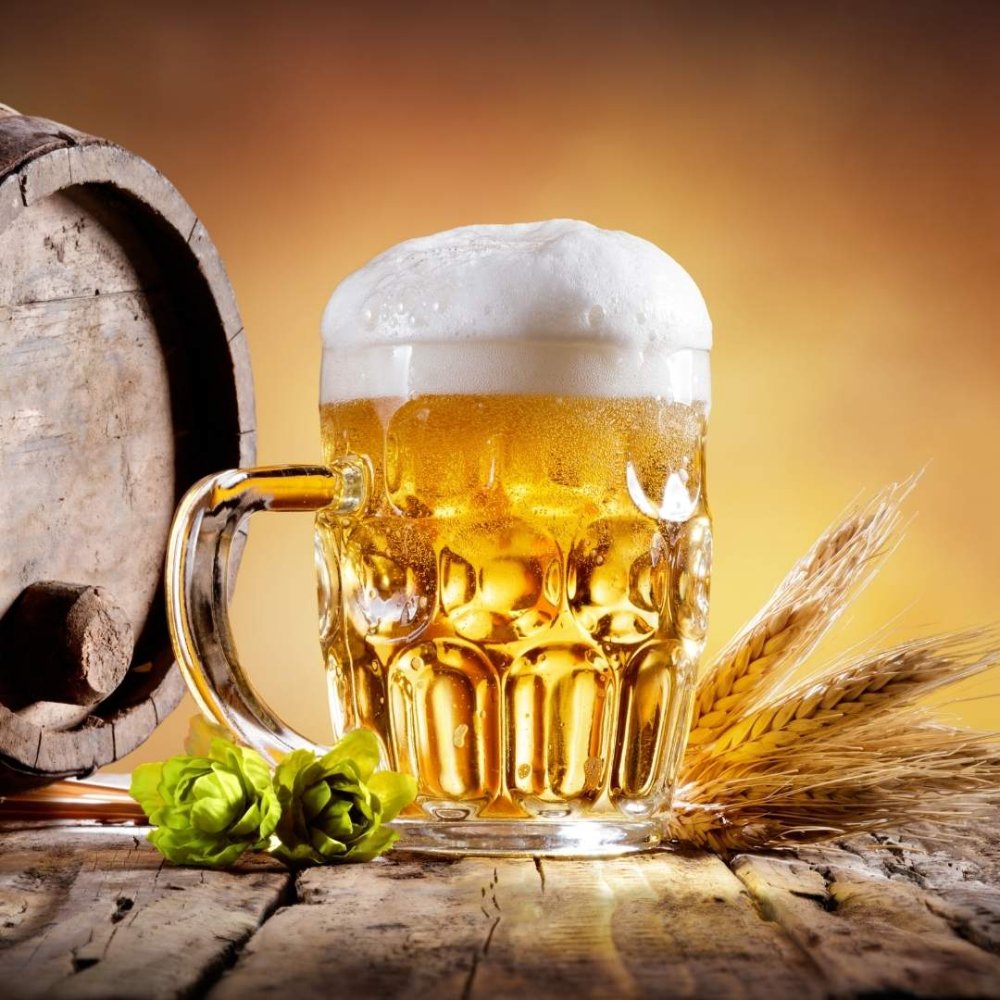 How to choose home brewing beer equipment and adjust the temperature properly?